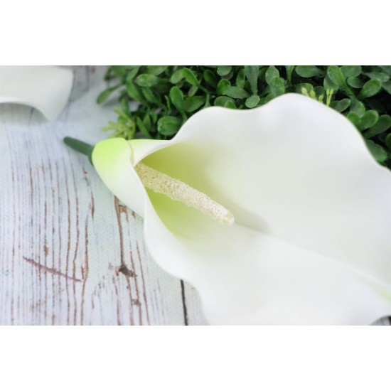 Large Calla Lily  12 Pieces